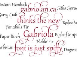 fonts similar to gabriola